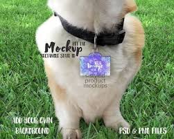 Download 48 Pet Products Mockups Ideas In 2021 Mockup Pet Tags Mockup Template