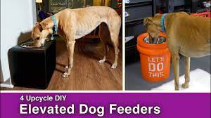 The goal of an elevated dog bowl is to get the bowl…elevated. 4 Upcycle Diy Elevated Dog Feeder Bowls Youtube