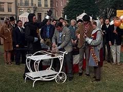 Sir Twiggly Toppin Middle Bottom Pictures