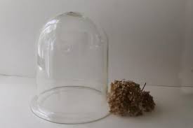 Check spelling or type a new query. Huge Old Blown Glass Cloche Bell Jar Dome For Display Clock Cover Or Terrarium