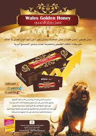 لماذا لا يهتم جيمي ويلز بالربح؟ مؤسس ويكيبيديا يشرح لماذا فضل أن تبقى موسوعة ويكيبيديا مؤسسة غير ربحية. Wales Golden Honey K S A Home Facebook