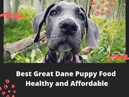 The ideal fat range for puppies is about 12% to 18%; Healthy Great Dane Puppy Food You Gotta Start Great Dane K9