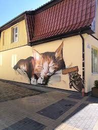 Зеленоградск - город кошек. Насколько?.. - Форумы Зеленоградска и Калининградской  области - Results from #40