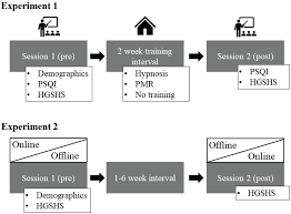 Frontiers | The influence of experience and modality of presentation  (online vs. offline) on hypnotizability
