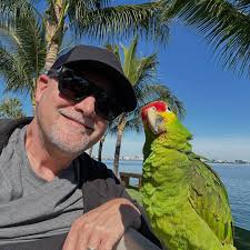This is Lakeline Mall in Austin, TX then and now. Why in the world we  humans spend time and money to make things less beautiful and less  spectacular will eternally be a
