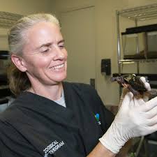 Cornell alum Susie Bartlett, DVM '03, is a senior veterinarian at @TheWCS  and provides veterinary care for animals across the Bronx Zoo, Central Park  Zoo, Prospect Park Zoo, Queens Zoo, and the