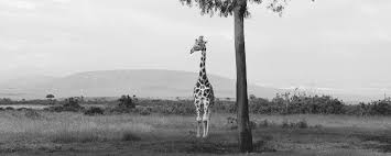 Facebook gives people the power to share and makes the. Kayla Innis Six Feet Growing