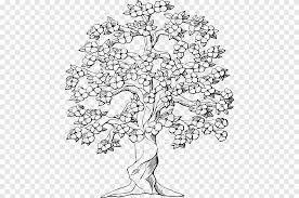 Japanese blossom tree close up of cherry blossom japanese cherry. Cherry Blossom Tree Drawing Cherry Blossom White Leaf Png Pngegg