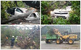 We did not find results for: Bernama Pokok Berhampiran Muzium Negara Tumbang Hempap Kereta Dan Motosikal