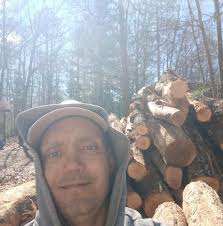 Is the Husqvarna 460 rancher saw suitable for cutting 36 inch oak trees?