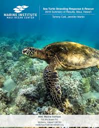 Sea Turtle Stranding Response & Rescue 2019 Summary of Results, Maui,  Hawaiʻi Tommy Cutt, Jennifer Martin