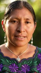 noah bruce (@noah.bruce70)