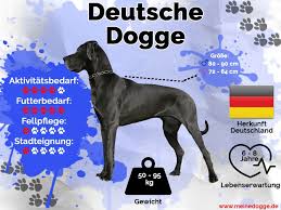 Resultado de imagem para DEUTSCHE DOGGE
