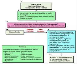 The anticholinergic effects of atropine can produce tachycardia, pupil dilation, dry mouth, urinary retention, inhibition of sweating (anhidrosis), blurred vision and constipation. Unstable Bradycardia Maimonides Emergency Medicine Residency