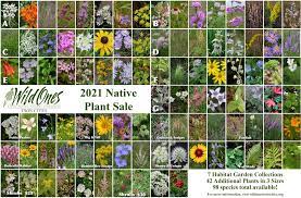 Maybe you would like to learn more about one of these? Wild Ones Twin Cities Minnesota Plant Sale 2021