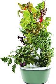 How To Get A Garden Without Having To Pull Weeds Or Water My Kind Of Garden Juice Plus Tower Garden Container Gardening Vegetables Tower Garden