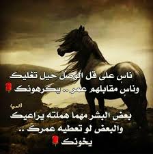 الحمدلله دائما وابدا على تويتر