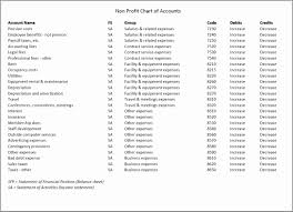 40 non profit balance sheet template markmeckler template