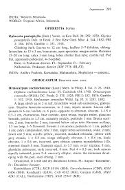 Image result for Ophrestia