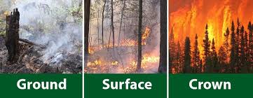 We did not find results for: Simple Classification Of Fire Types Credit Government Of Ontario Download Scientific Diagram