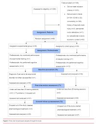 Impact Of Working Memory Training On Hot Executive Functions