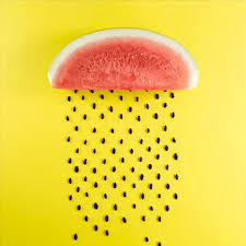 33 Amazing Rain Animated Gif Find & download free graphic resources for melon. 33 amazing rain animated gif
