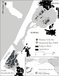 Map Of Humboldt Bay, California, USA Showing The Primary Grit Site... |  Download Scientific Diagram