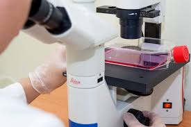 Cell therapy can be defined as an approach that uses a biological product with therapeutic effect, derived from living cells. Animal Cell Therapies What Is It And Why Should You Do It