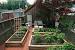 Urban Farming