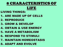 Née voight, formerly jolie pitt; What Are The 8 Characteristics Of Life