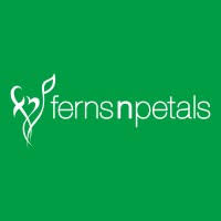 Ferns n petals works with flower suppliers from all over india, but mainly from maharashtra and karnataka. Ferns N Petals Pvt Ltd Flowers Anywhere Anytime Linkedin