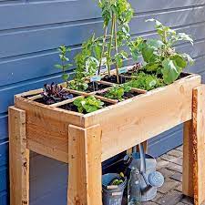 pin op moestuin intratuin