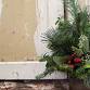 Mini Christmas Tree Workshop - Aurora