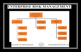 Enterprise Risk Management Organizational Chart