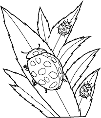 Let her keep these coloring pages as posters once she is done coloring them. Free Printable Ladybug Coloring Pages For Kids