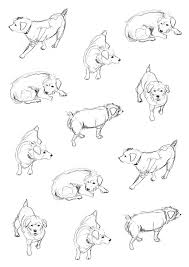 Dog Sketch Via Kid S Book Design Dog Sketch Animal Drawings Dog Art