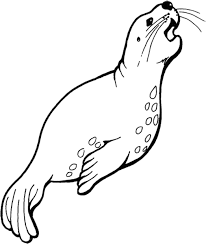These are suitable for preschool, kindergarten and first grade. Seal Coloring Pages