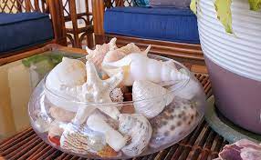 We offer a wide range of themed coastal decor that includes everything from the traditional tropical decor, to natural coastal accents, to a nautical look and even holiday themed accents and more to give every room in your home the serene, relaxing tropical feel you are trying to recreate. Amazon Com Tumbler Home Natural Sea Shells Starfish Sea Glass Generous 1 5 Lbs Hand Picked Hand Packed Diy Crafts Party Wedding Decor Shells 1 5 To 4 5 Inches Home Kitchen