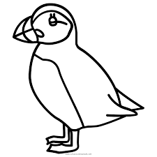 Nautical crafts puffin toddler art projects coloring pages sea birds. Puffin Coloring Page Ultra Coloring Pages