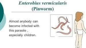 Image result for Pinworm Test