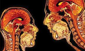 Now a court case could decide whether fmris are the next lie detectors. Mri Lie Detectors Ieee Spectrum