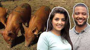 Cbeebies Radio Down On The Farm Summer