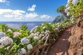 Check out our database of flowers and plants that start with e. Where To See Blooming Flowers Around The World Conde Nast Traveler