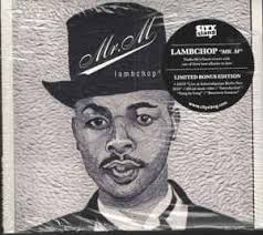 Lambchop Discography: Vinyl, CDs, & More