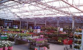 By the time spring arrives, many of us the few times she didn't know the answer to a question, other nearby associates did. Lowe S Garden Center Lowe S Garden Center Garden Supplies Garden Center