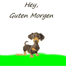 Vous trouverez aussi des centaines d'autres gifs de la même catégorie pour toutes ces images trouvées sur le net, un grand merci à leurs créateurs. Guten Morgen Gifs Tenor