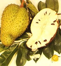 They make superb milkshakes, but can be eaten fresh as well. Soursop