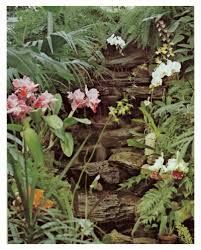 Maybe you would like to learn more about one of these? Growing Orchids Howstuffworks