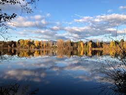 Maybe you would like to learn more about one of these? Dear Lake Deer Lake Vancouver