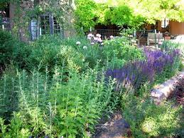 These places are best for gardens in mexico city Pin By Cindy Weiner On Garden English Cottage Garden New Mexico Santa Fe Native Plants